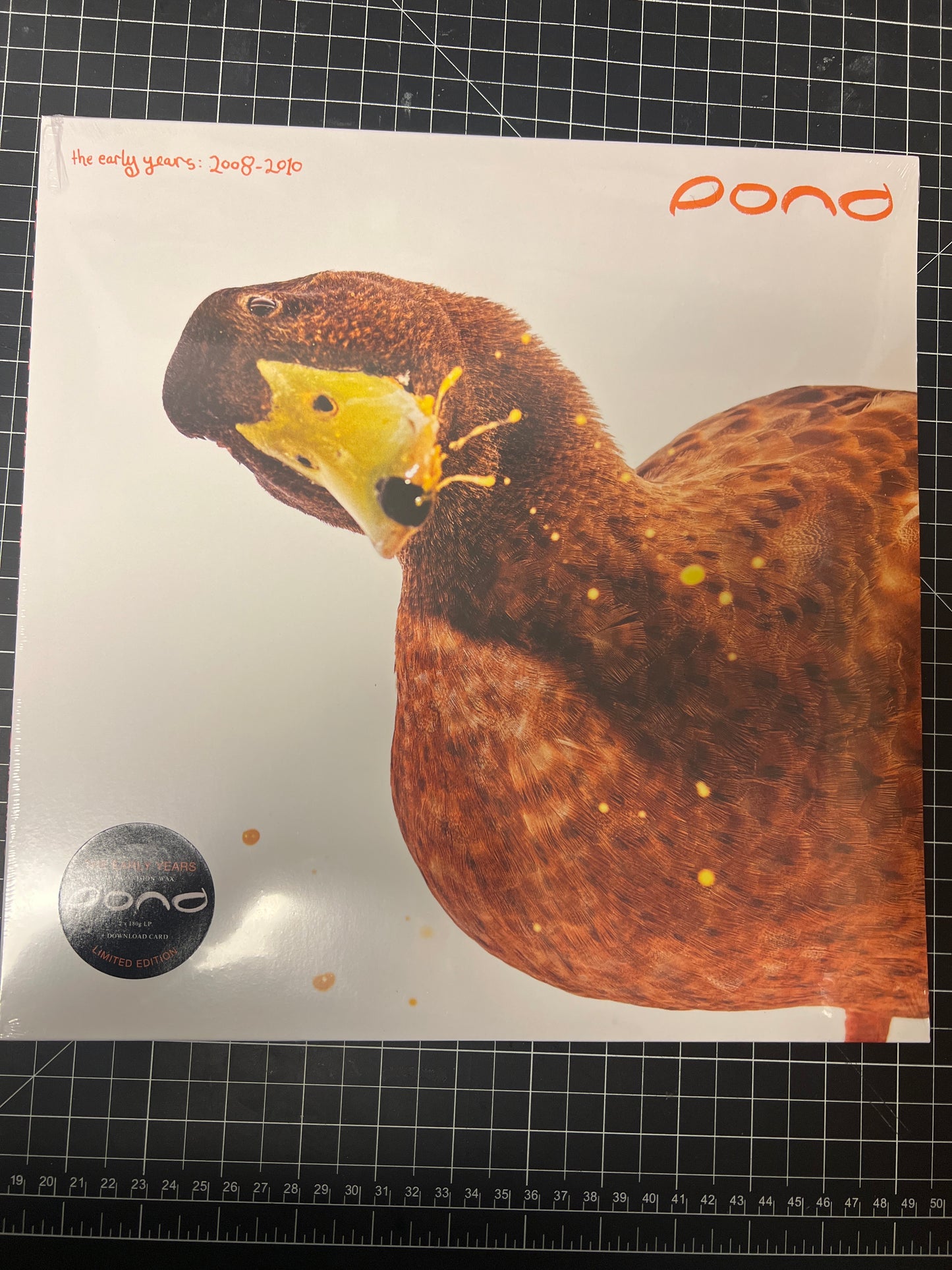 POND - the early years: 2008-2010