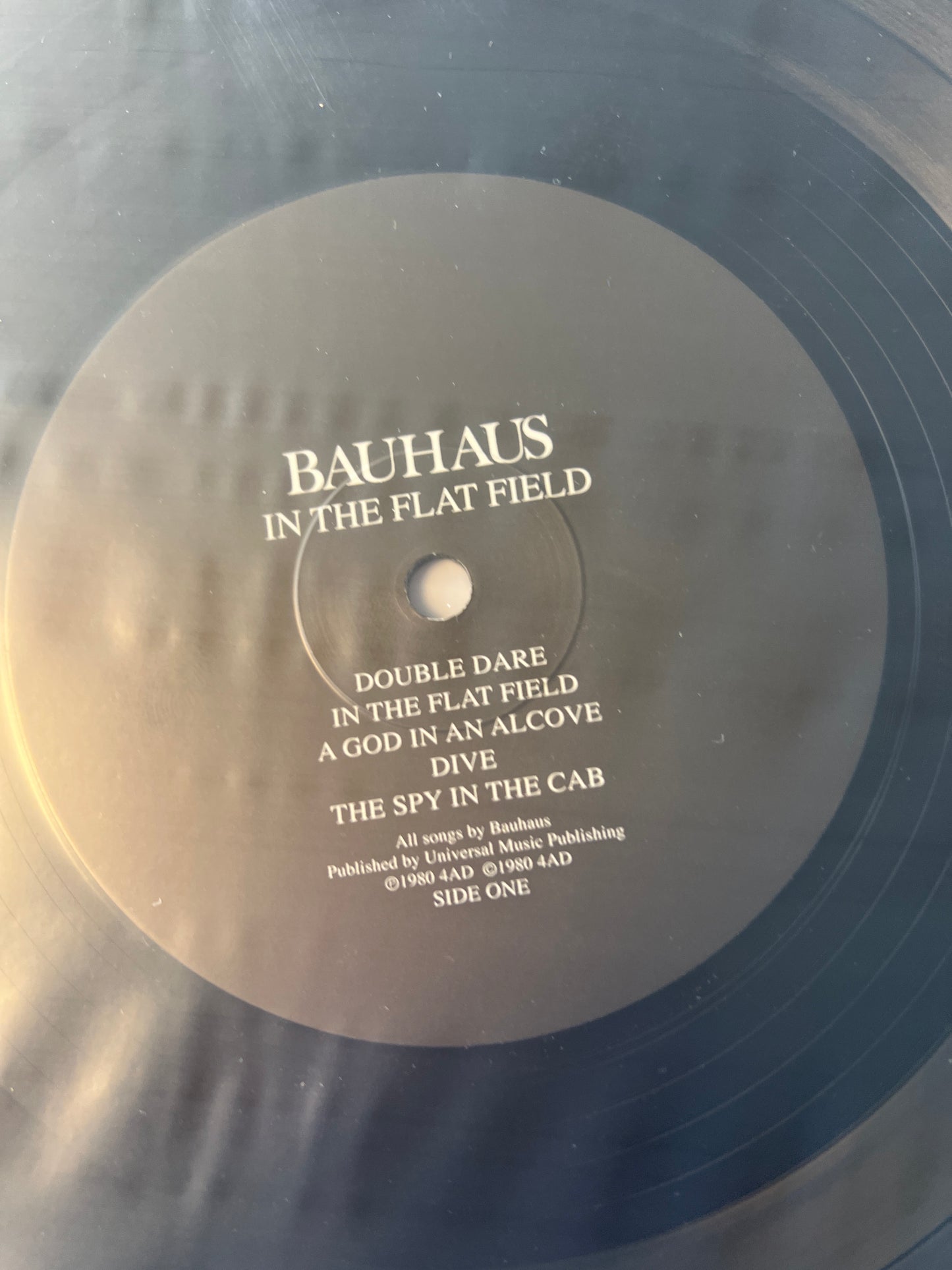 BAUHAUS - in the flat field