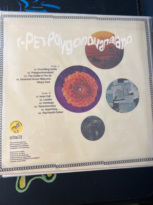 KING GIZZARD & THE LIZARD WIZARD - polygondwanaland