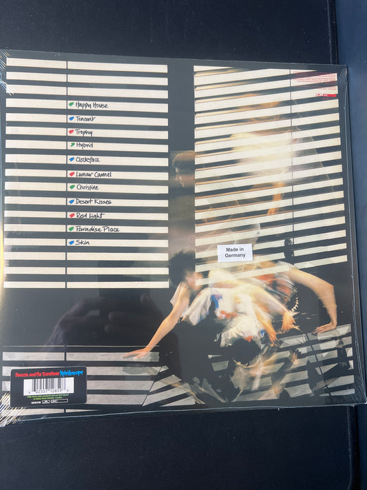 SIOUXSIE AND THE BANSHEES - kaleidoscope