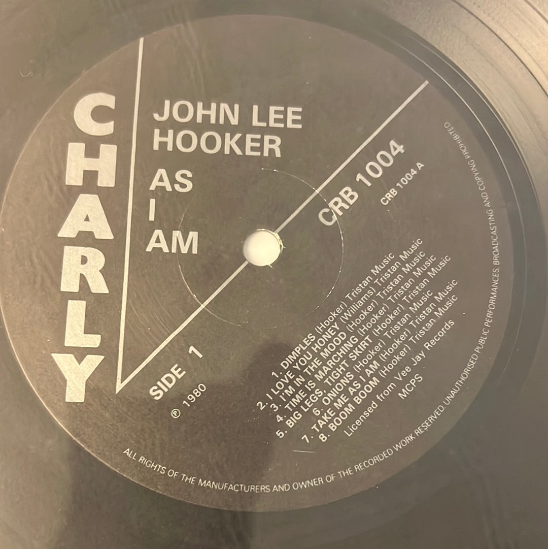 JOHN LEE HOOKER - this is hip