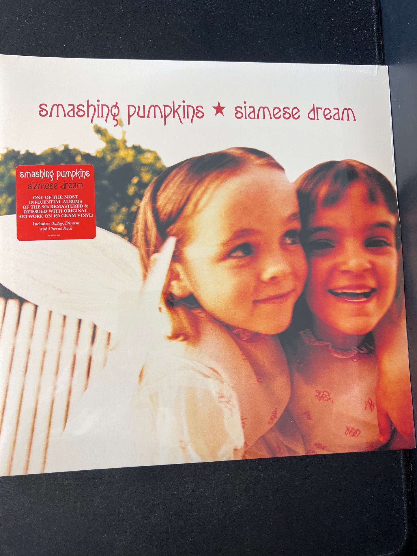 SMASHING PUMPKINS - Siamese Dream