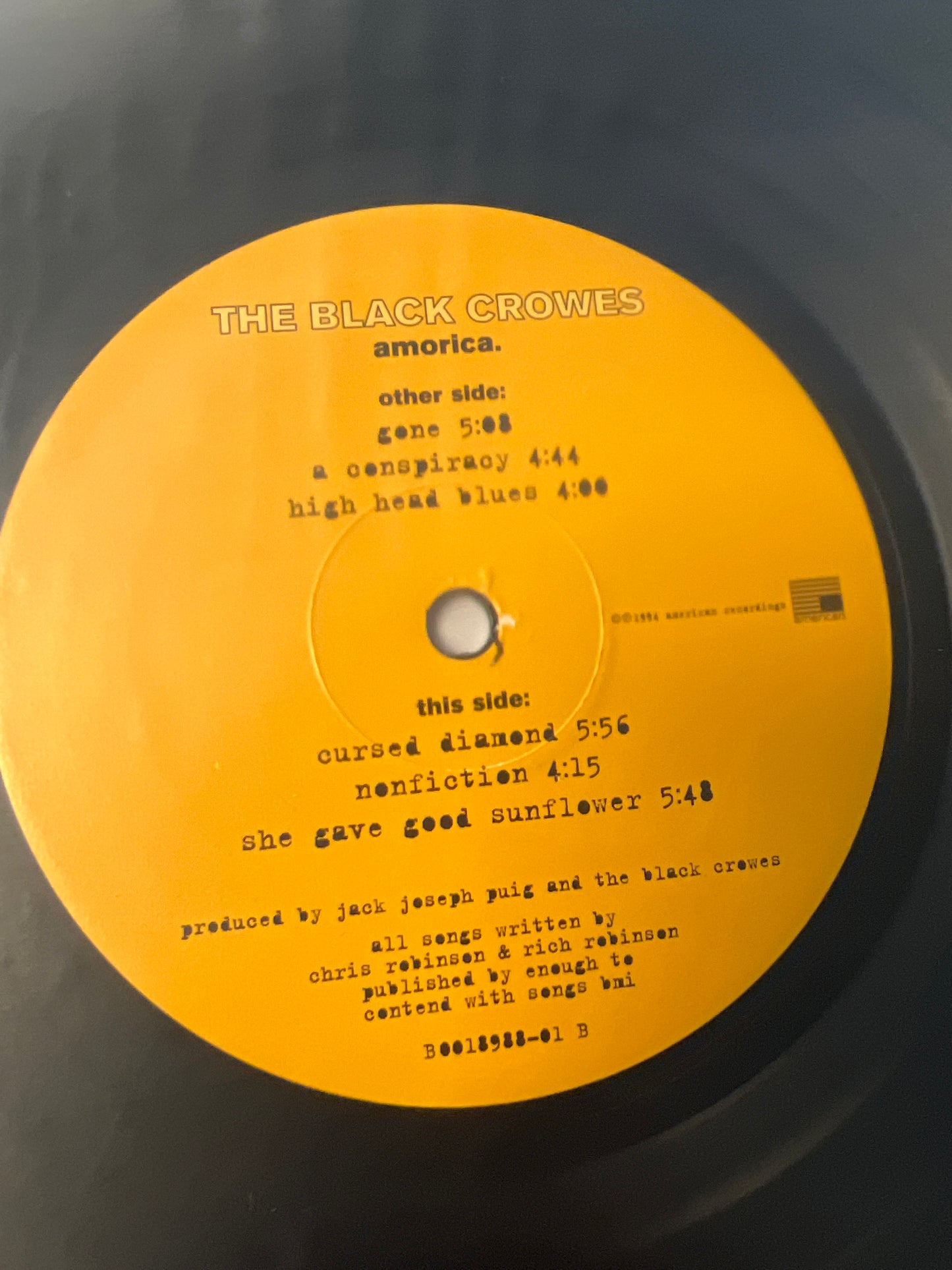 THE BLACK CROWS - America