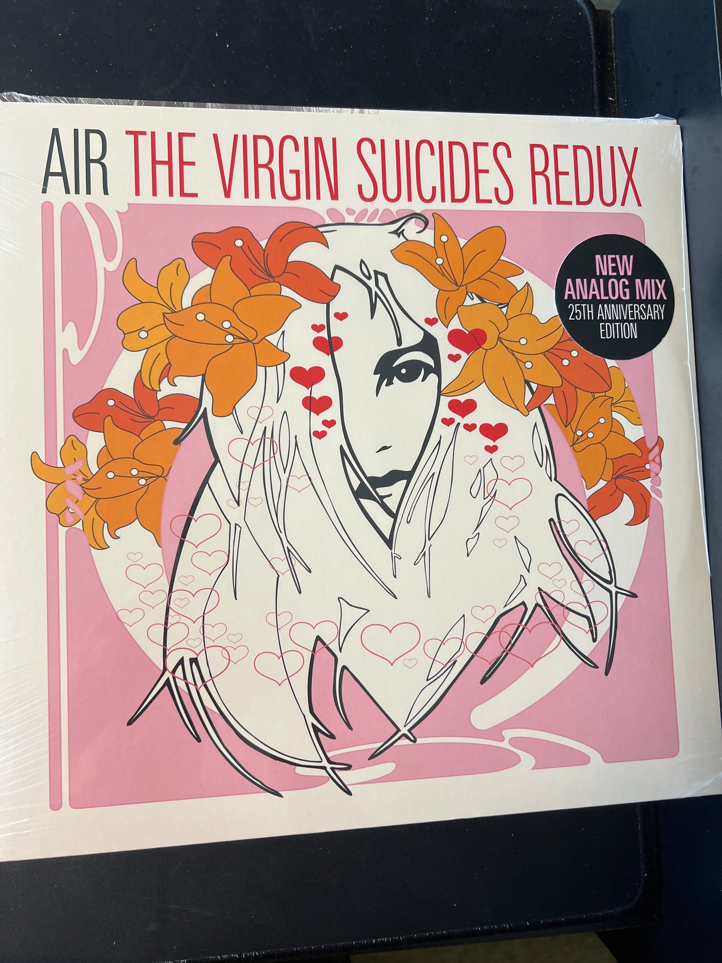 THE VIRGIN SUICIDES REDUX - air