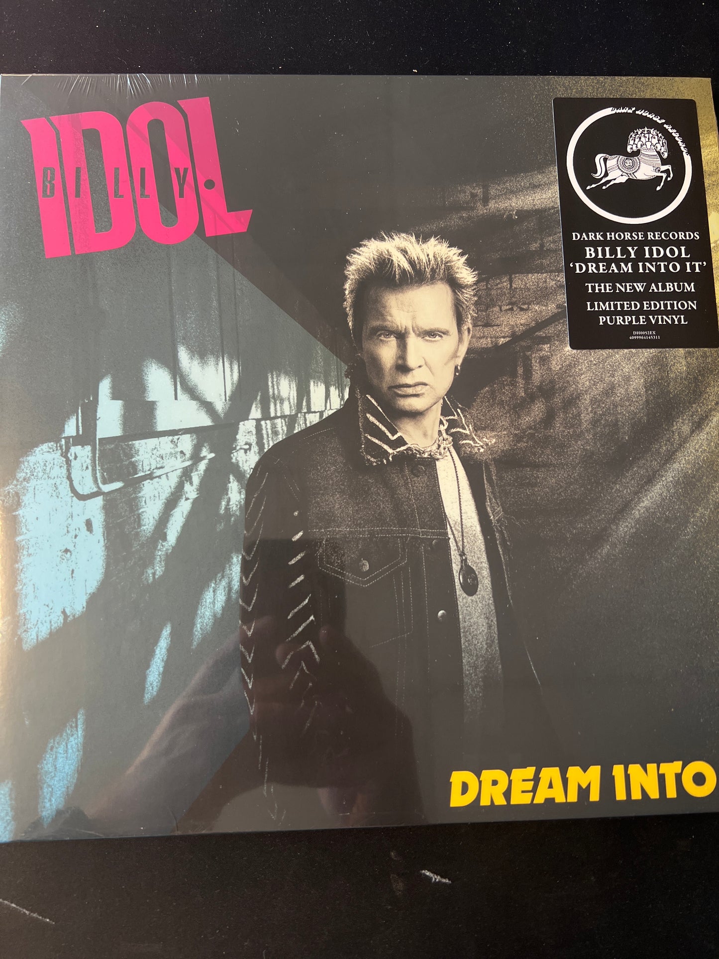 BILLY IDOL - dream into it