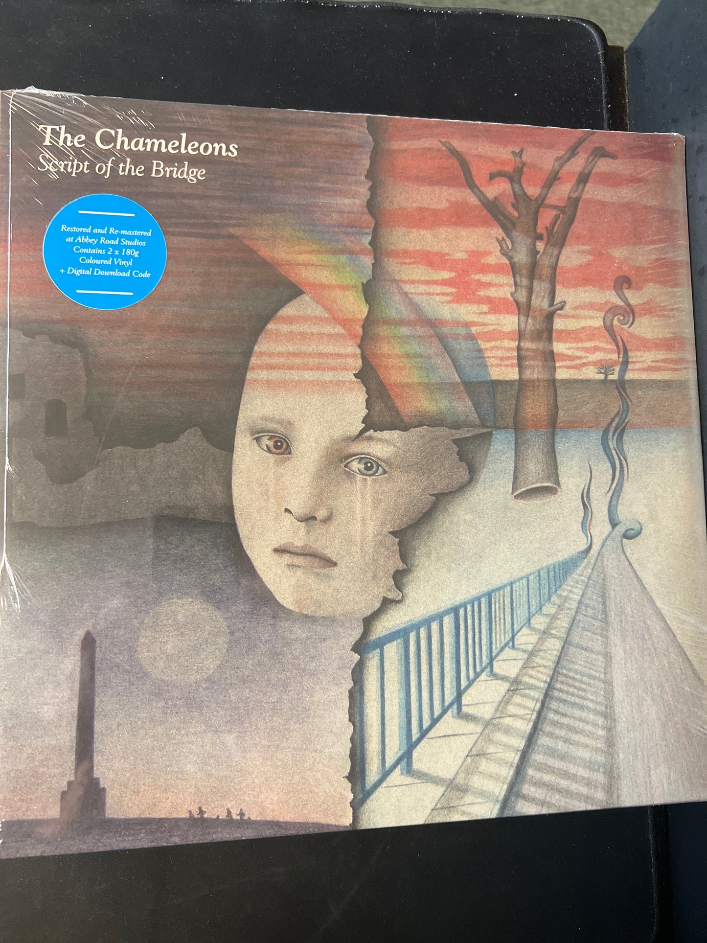 THE CHAMELEONS - script of the bridge