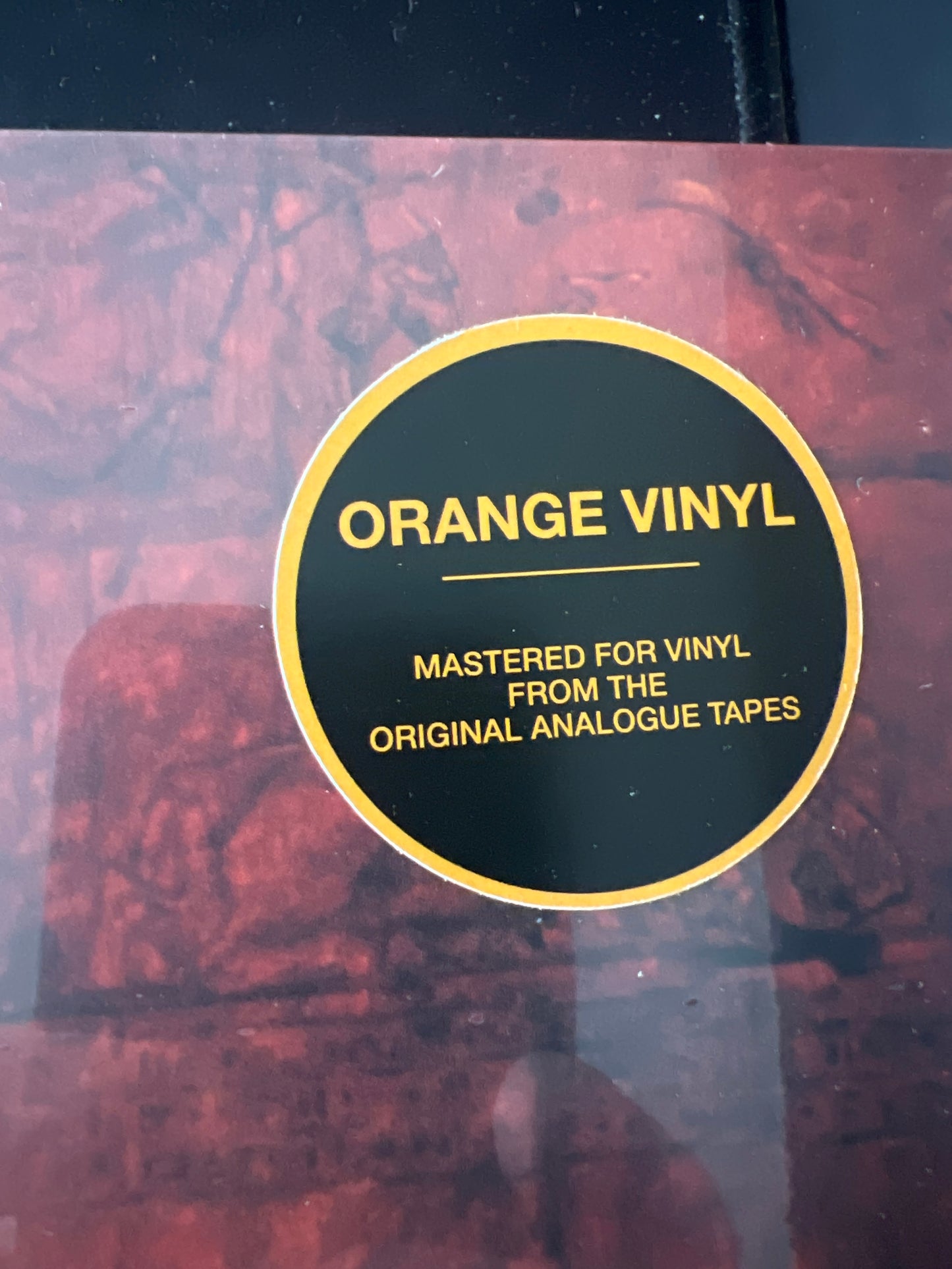 THE SOUND - from the lions mouth