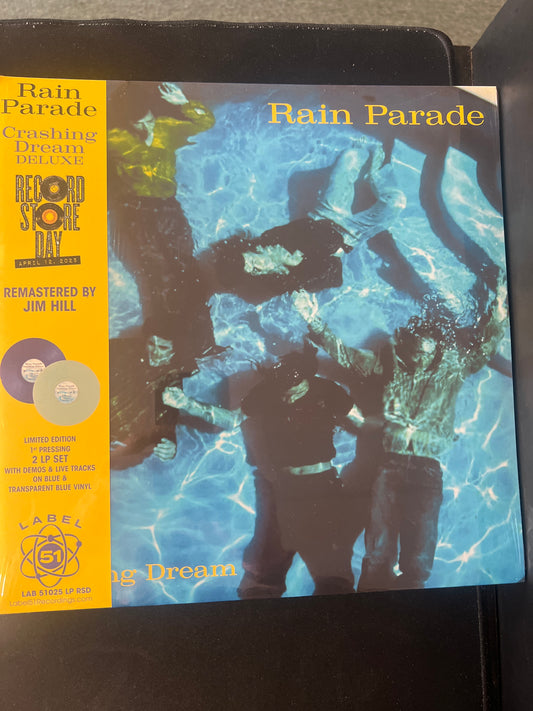 RAIN PARADE - crashing dream