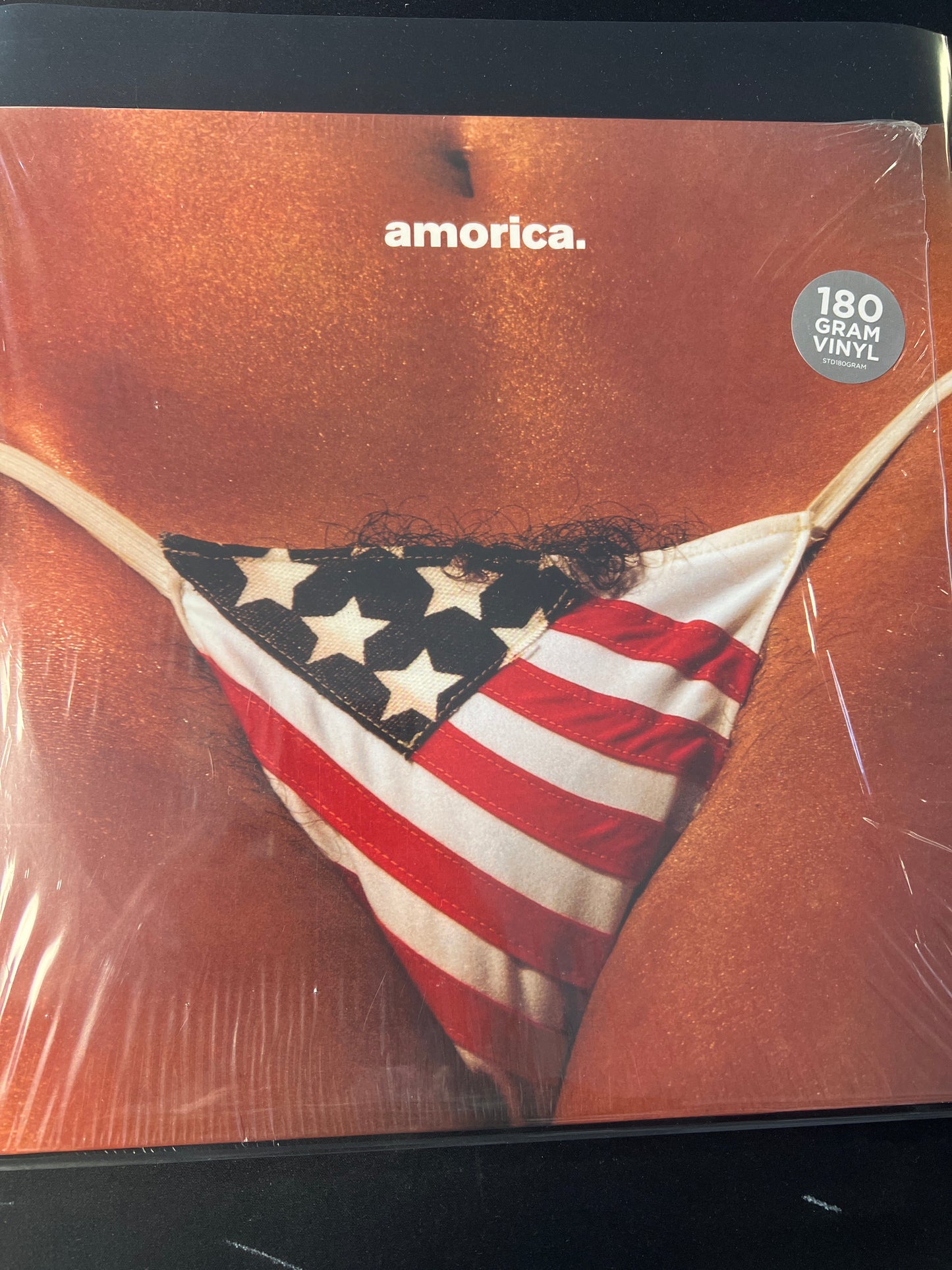 THE BLACK CROWS - America