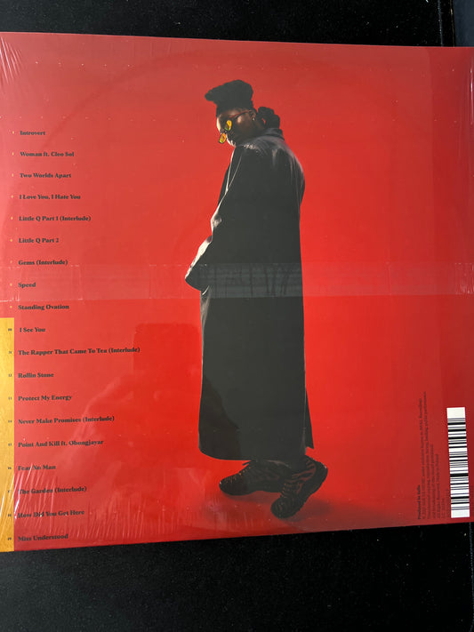 LITTLE SIMZ - sometimes I might be introvert