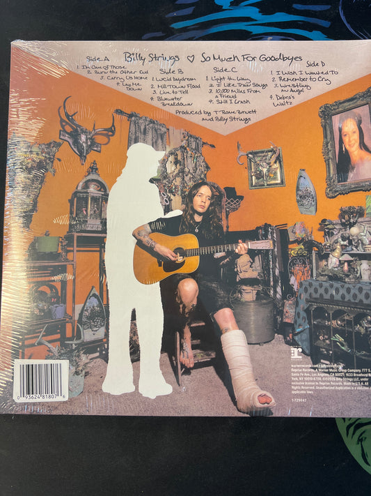 BILLY STRINGS - so much for goodbyes