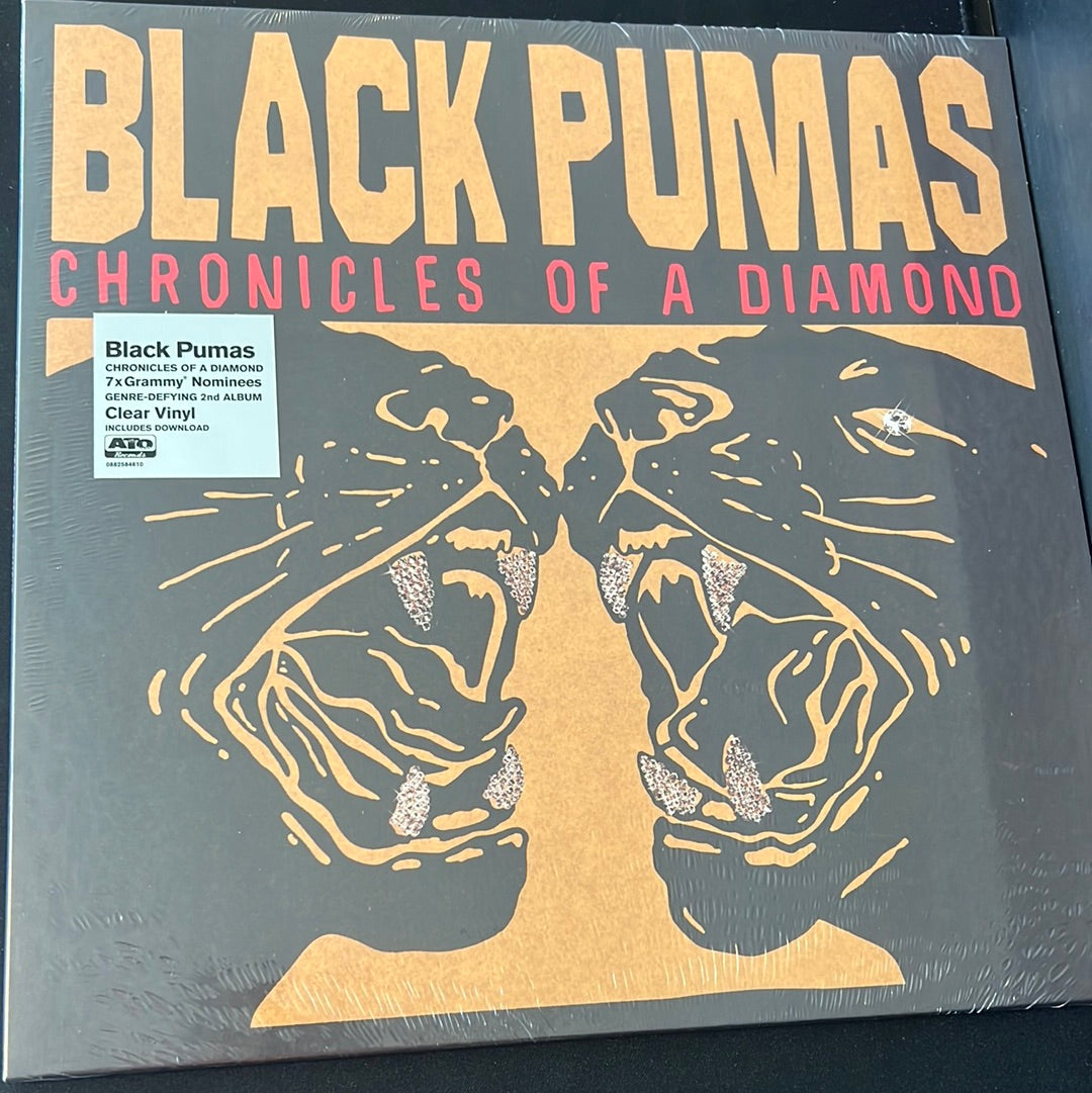 BLACK PUMAS - chronicles of a Diamond