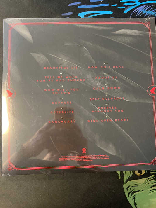 EVANESCENCE - sanctuary