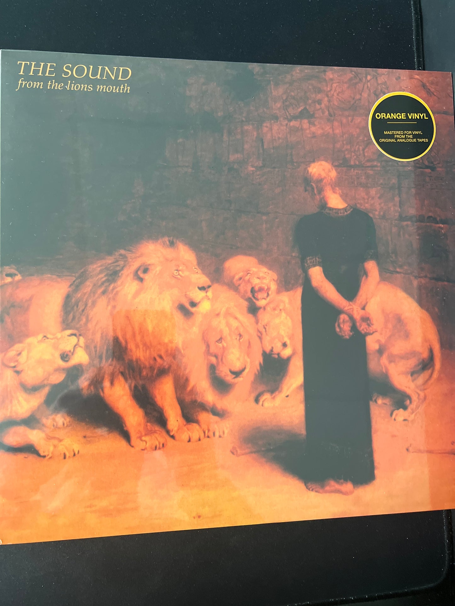 THE SOUND - from the lions mouth