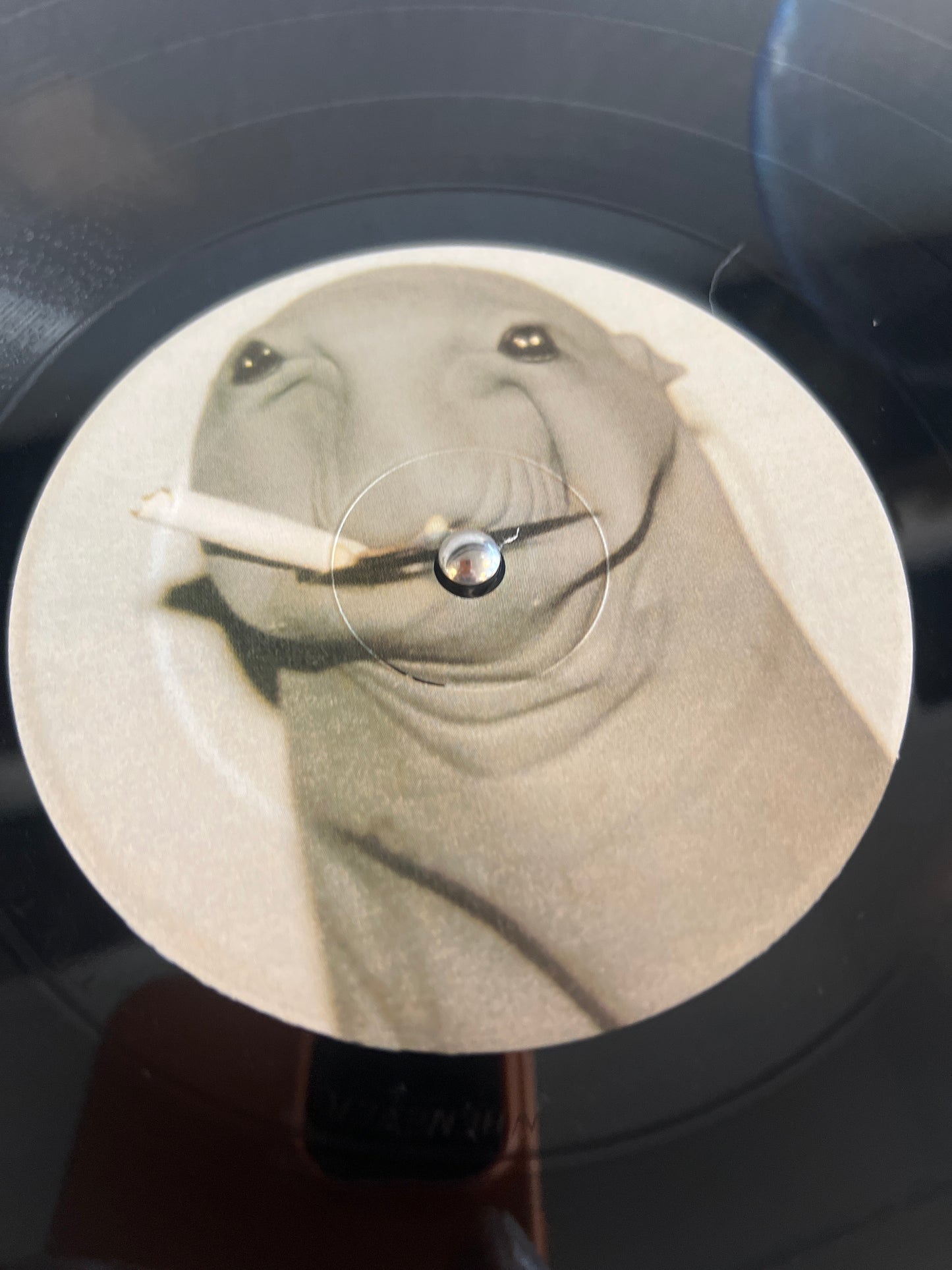 SKRATCHY SEAL - sealed breaks