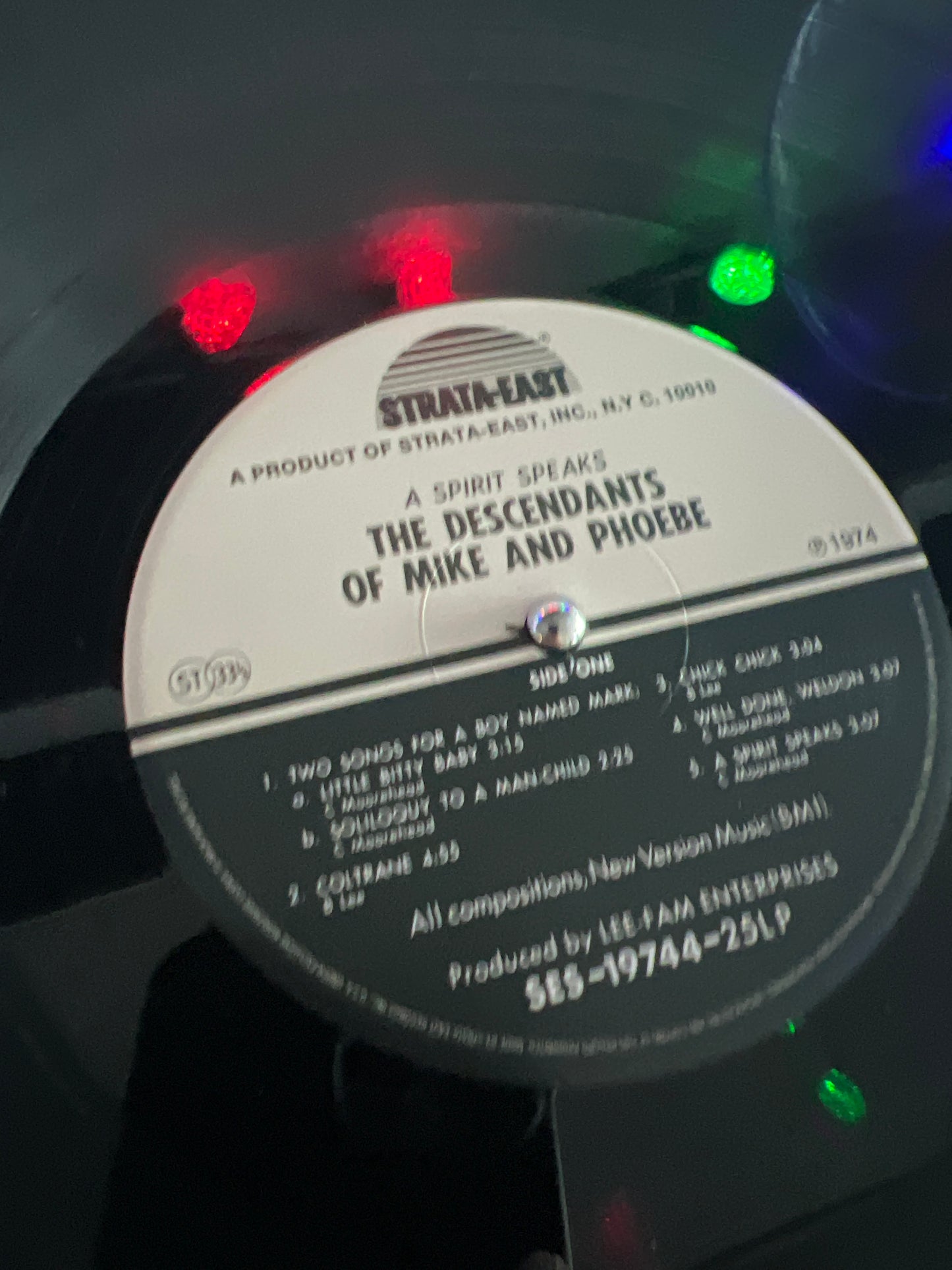 THE DESCENDANTS OF MIKE AND PHOEBE, BILL LEE - a spirit speaks