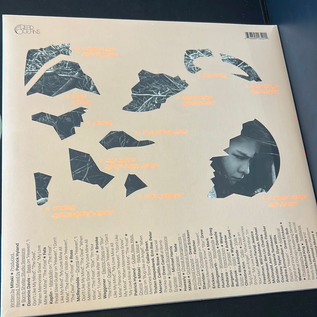 MITSKI - the land is inhospitable and so are we