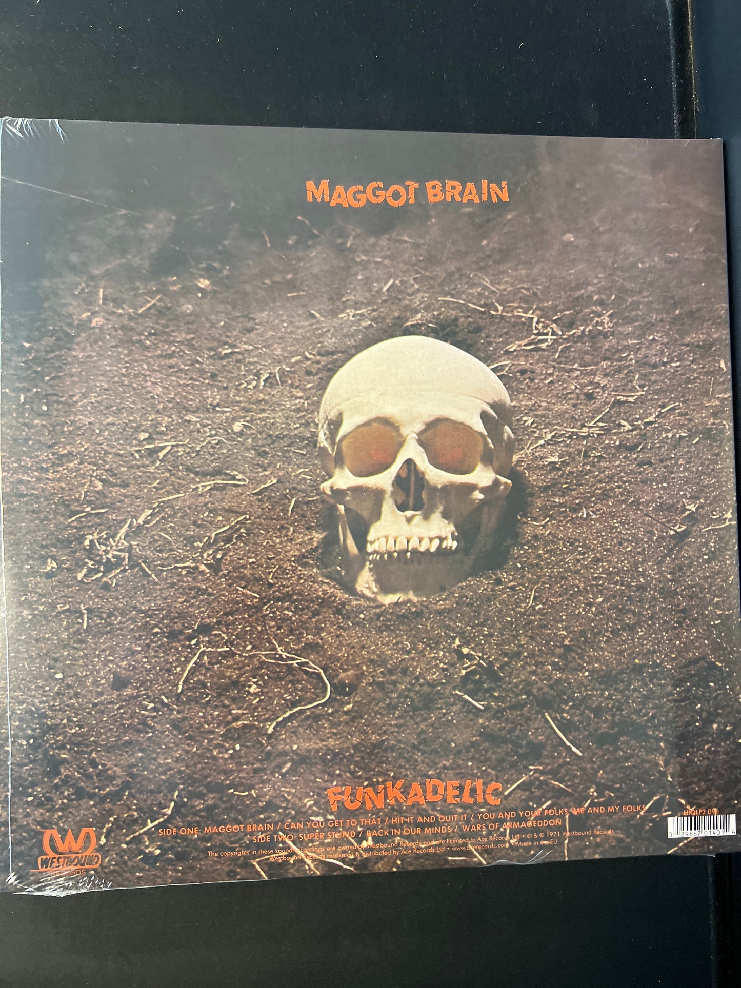 FUNKADELIC - maggot brains