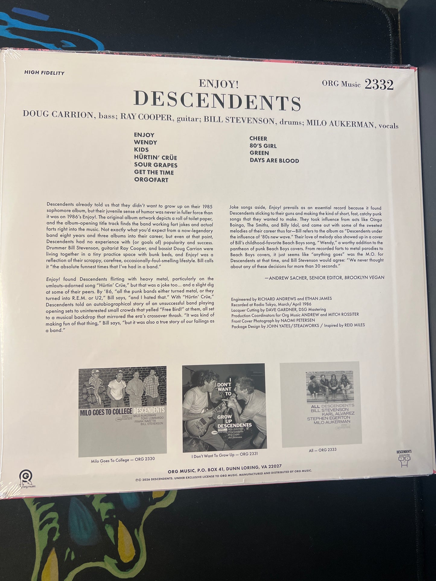 DESCENDENTS - enjoy!