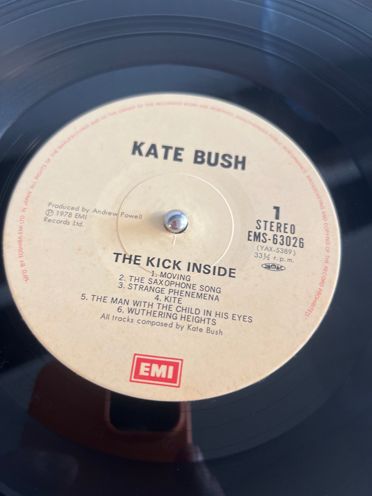 KATE BUSH - the kick inside