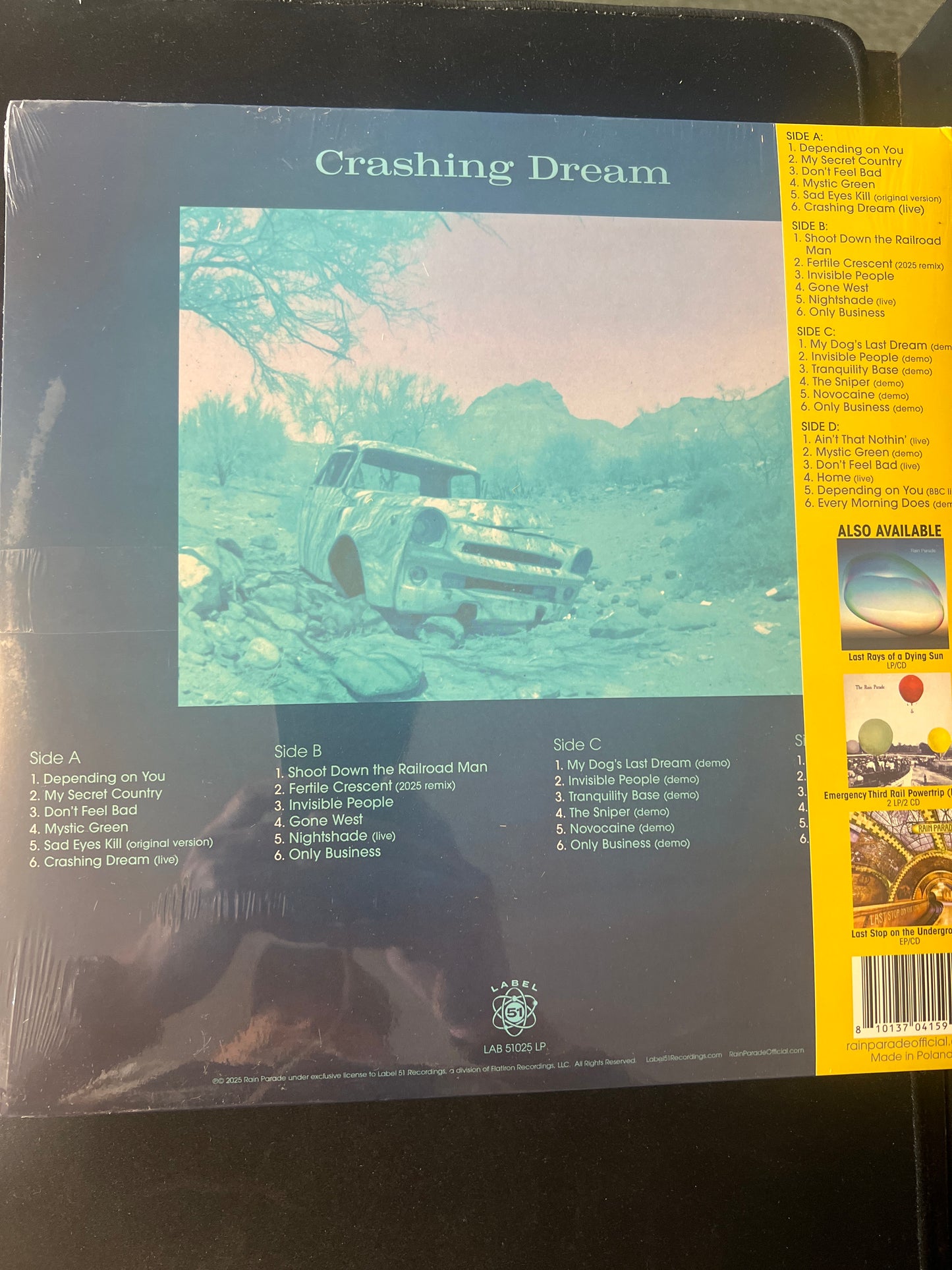 RAIN PARADE - crashing dream