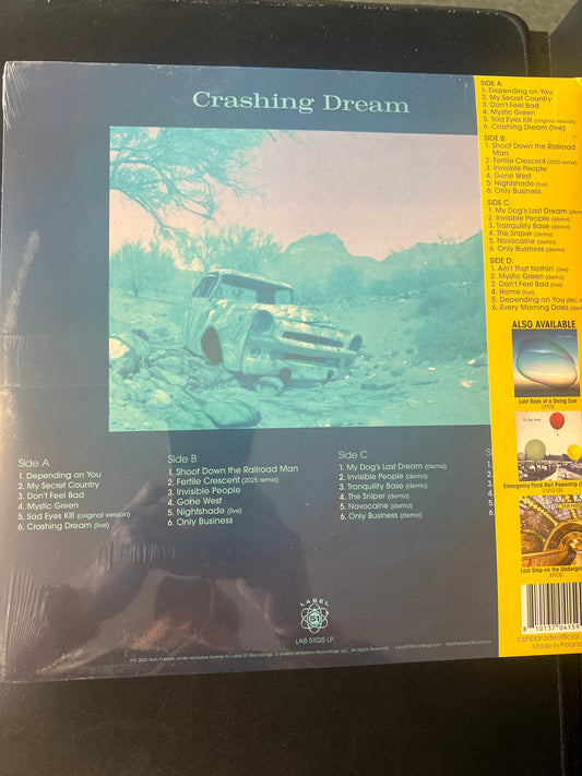 RAIN PARADE - crashing dream