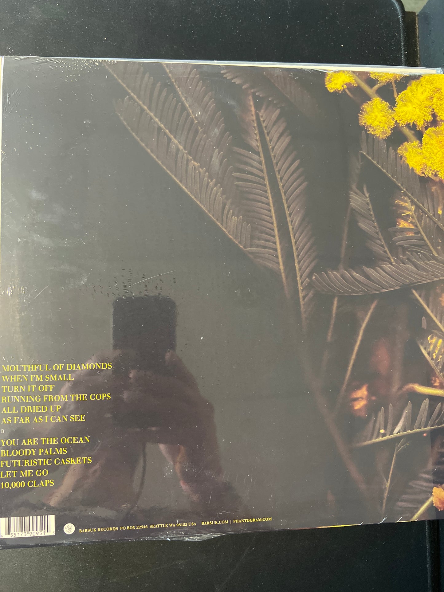 PHANTOGRAM - eyelid movies