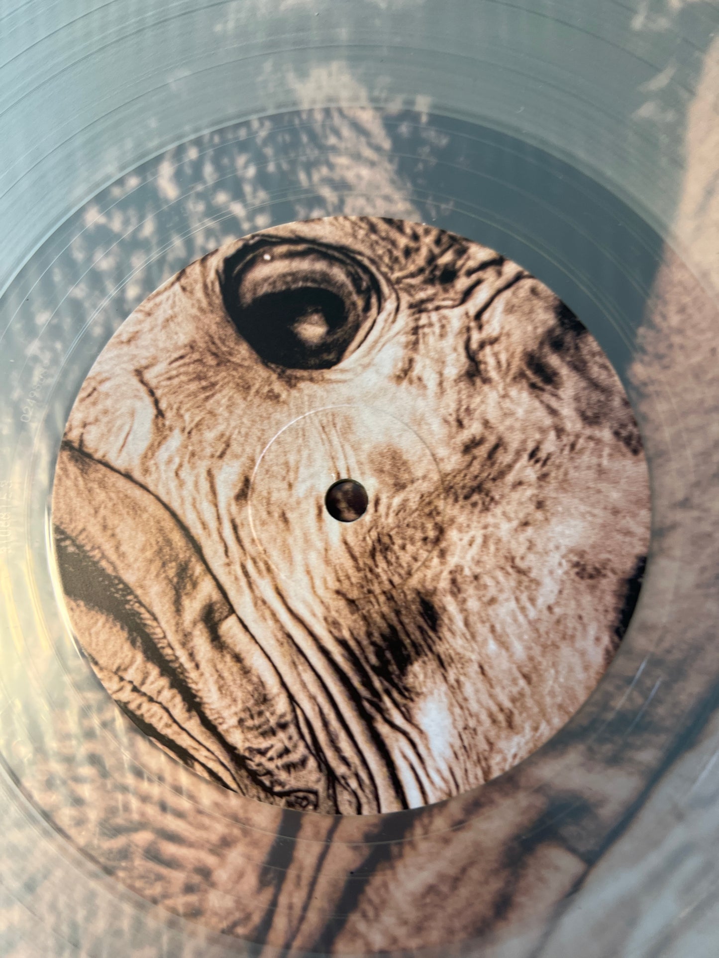 THE PIXIES - complete B sides