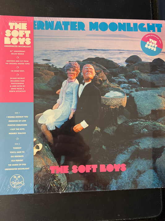 THE SOFT BOYS - underwater moonlight