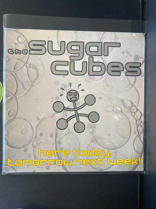 THE SUGARCUBES - here today, tomorrow next week!