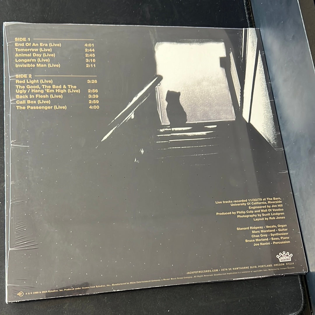 WALL OF VOODOO - live