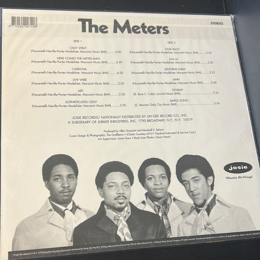 THE METERS - the meters