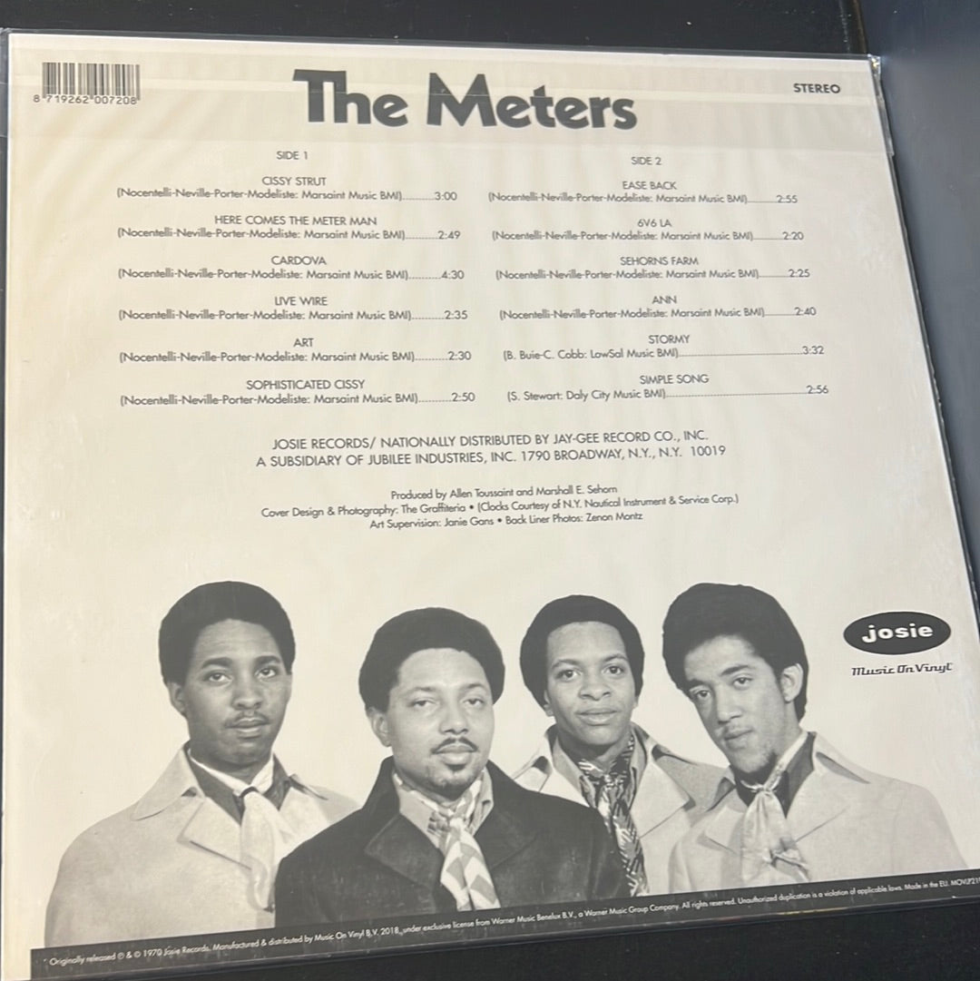 THE METERS - the meters