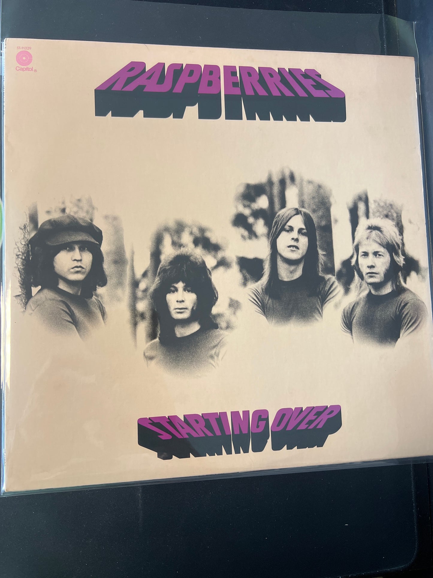 RASPBERRIES - starting over