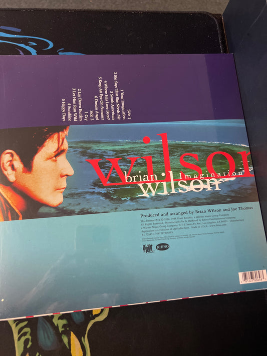 BRIAN WILSON - Imagination