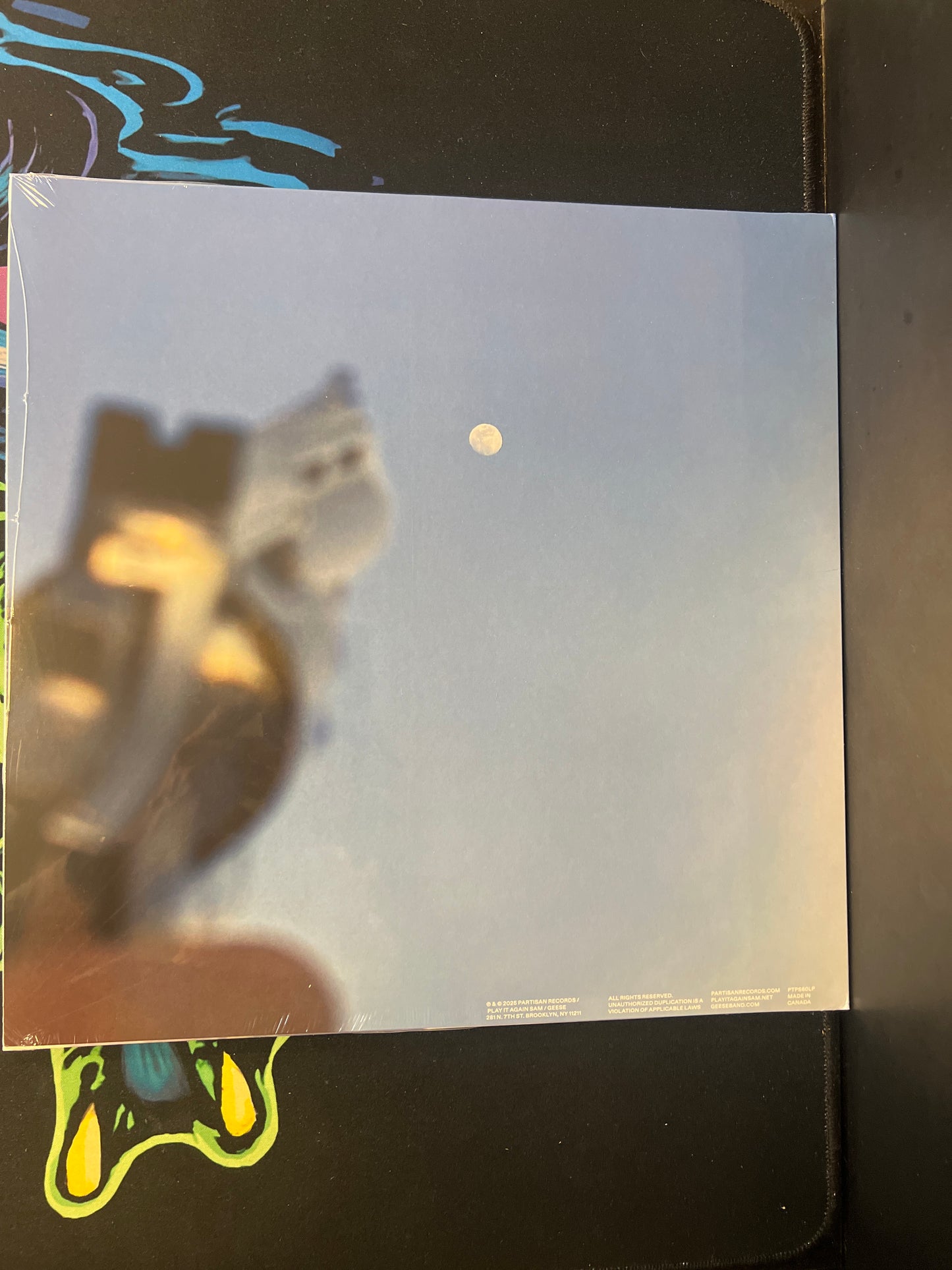 GEESE - getting killed