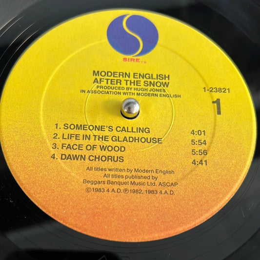 MODERN ENGLISH - after the snow