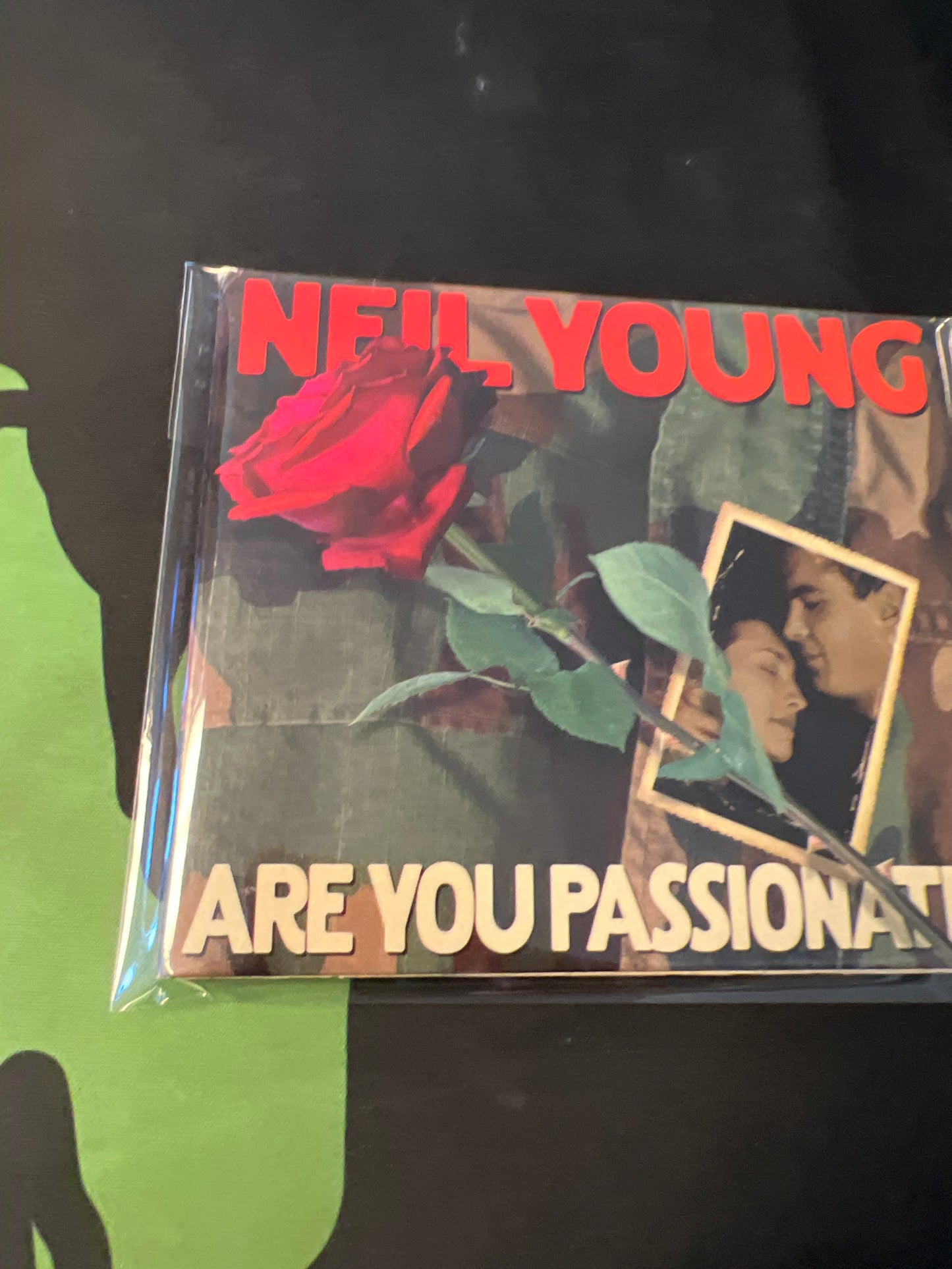 NEIL YOUNG - are you passionate