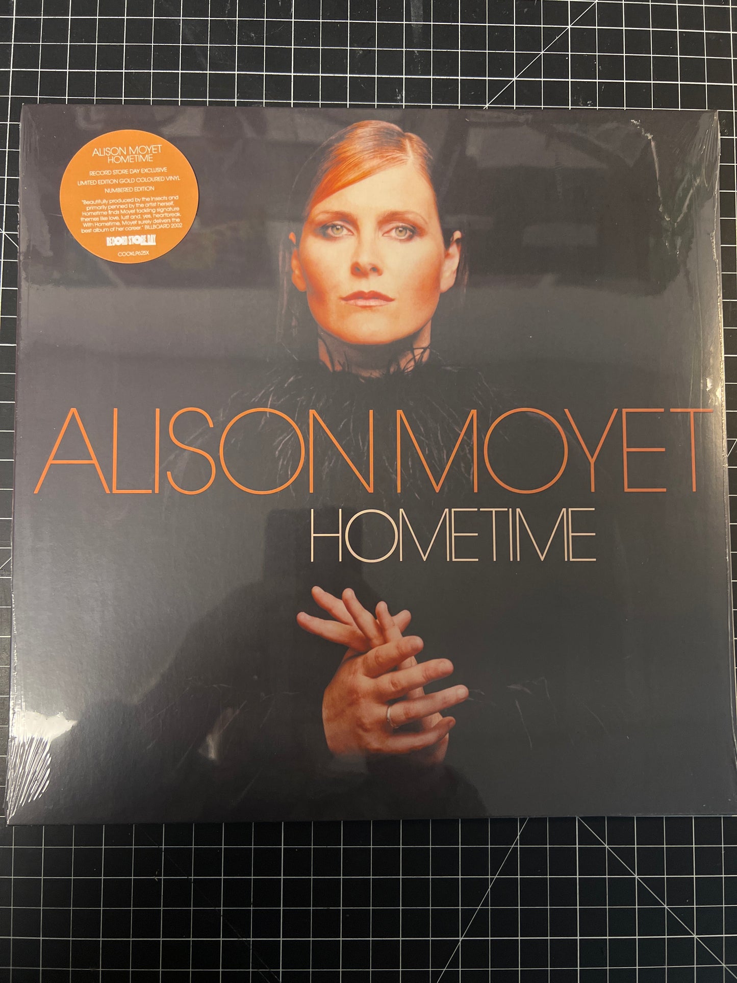 ALISON MOYET - hometime