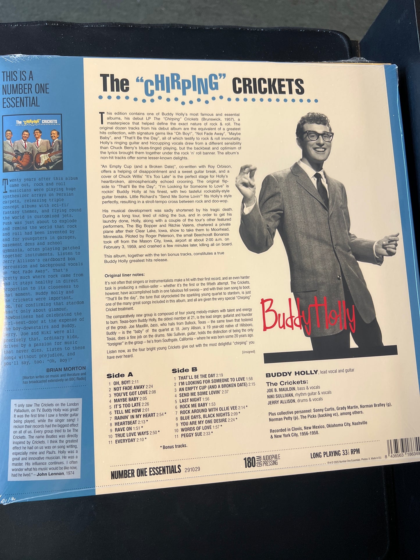 THE CRICKETS - the chirping crickets