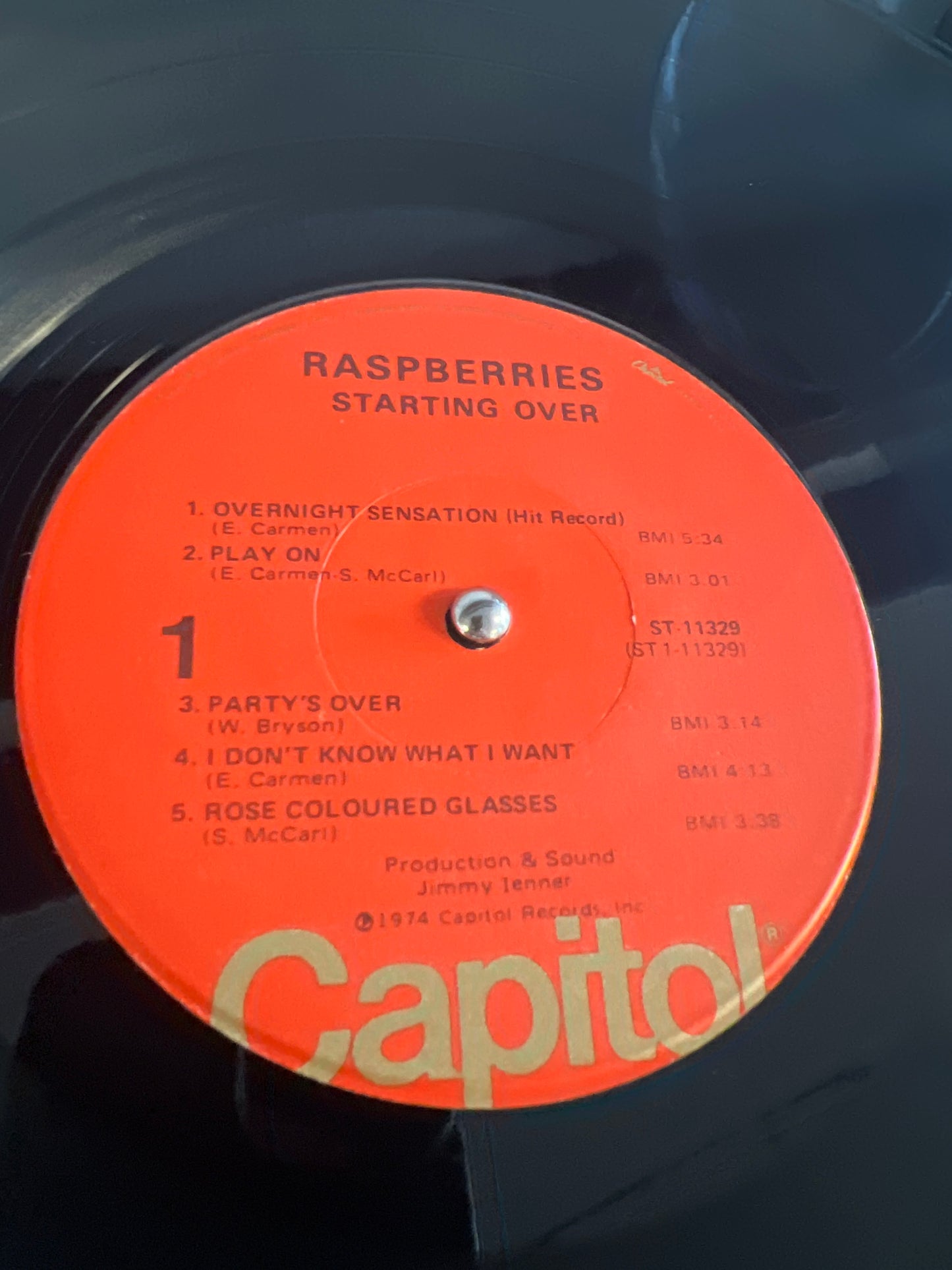 RASPBERRIES - starting over