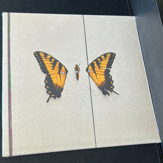 PARAMORE - brand new eyes