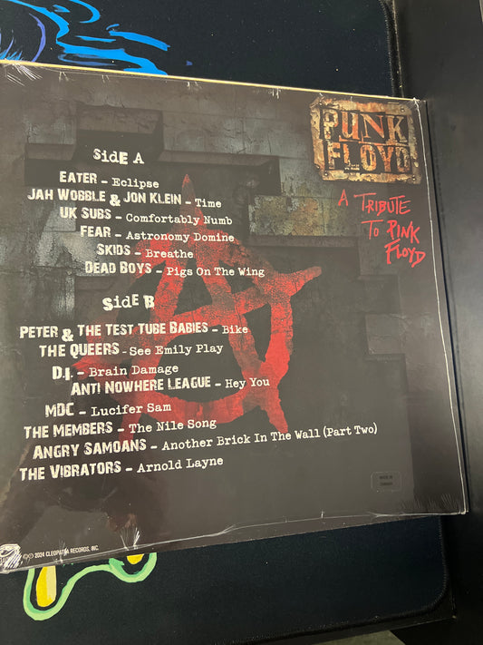 PUNK FLOYD - a tribute to Pink Floyd (various artists)