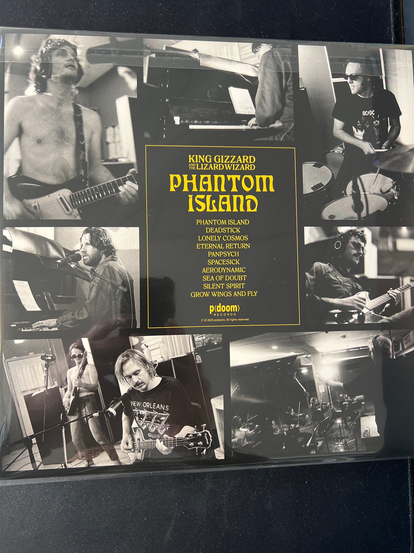 KING GIZZARD AND THE LIZARD WIZARD - phantom island