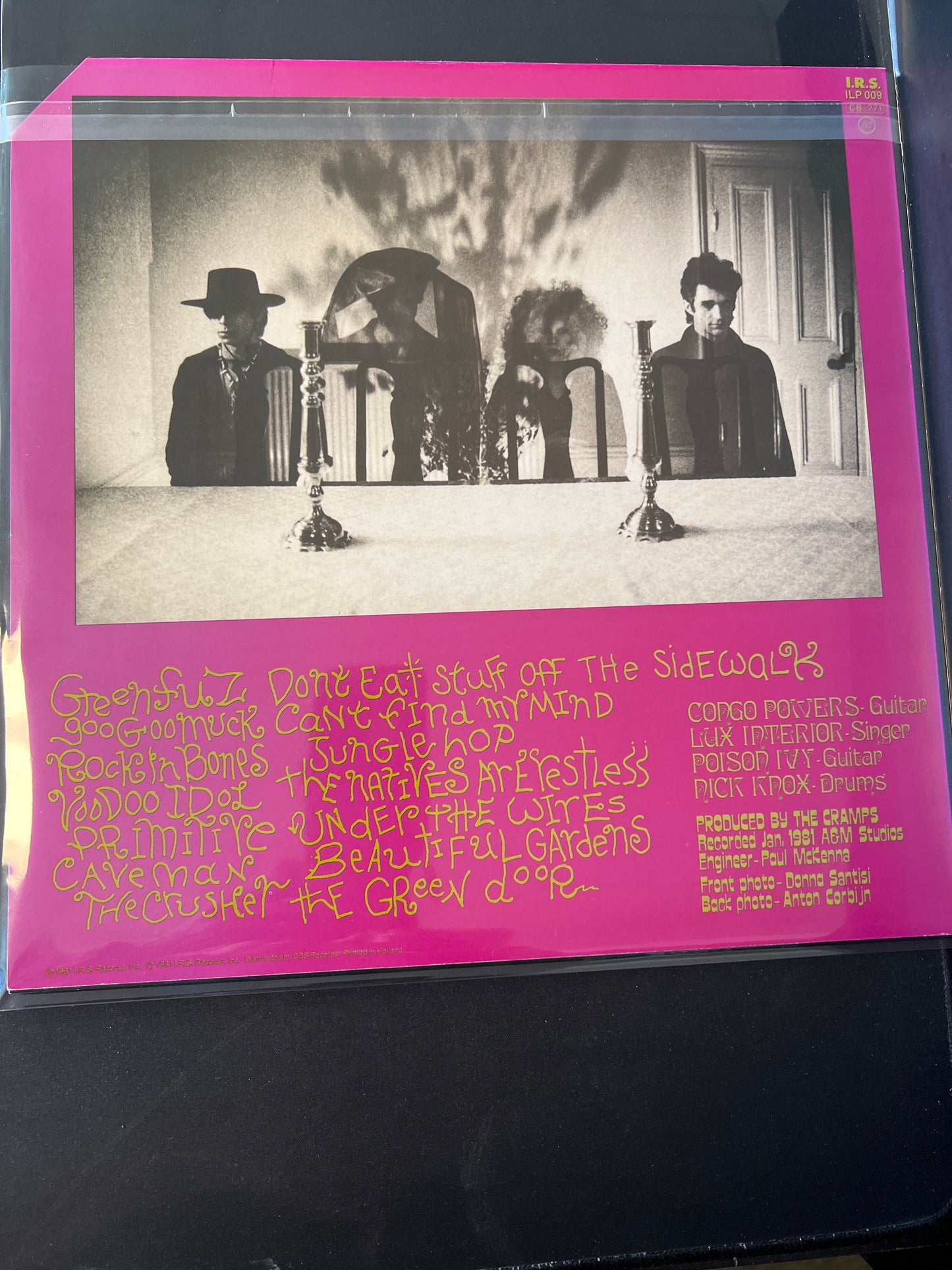 THE CRAMPS - psychedelic jungle