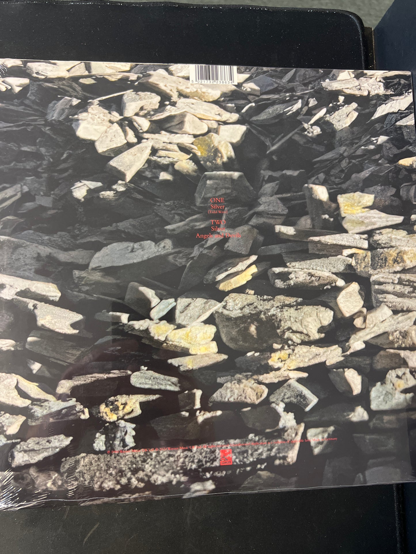 ECHO & THE BUNNYMEN - Silver