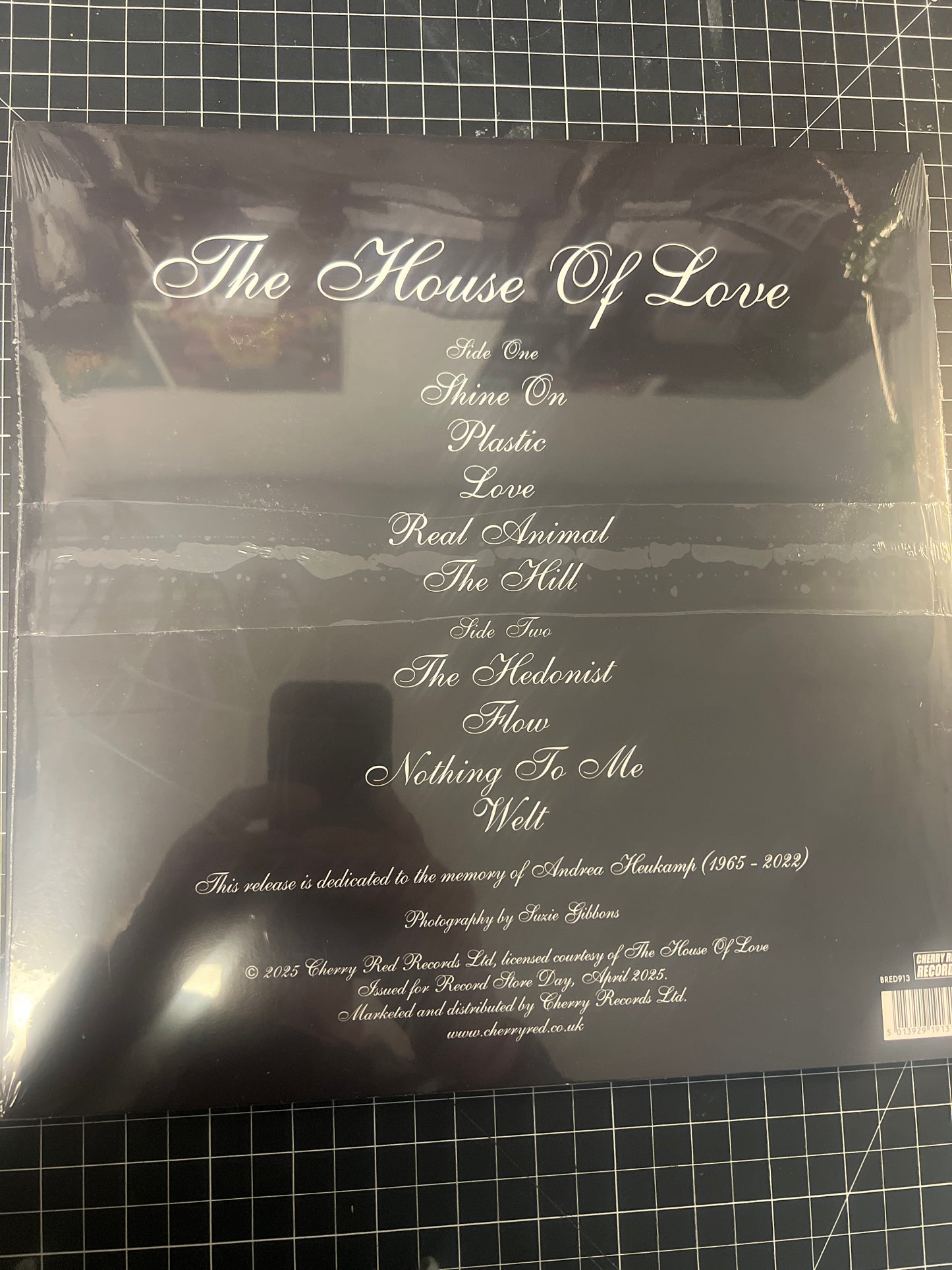 THE HOUSE OF LOVE - self-titled