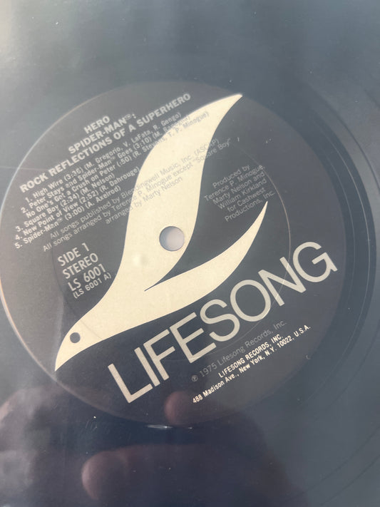 SPIDER-MAN - rock reflections of a superhero