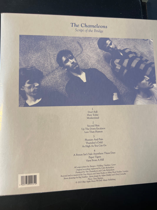 THE CHAMELEONS - script of the bridge