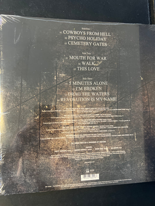 PANTERA - 1990-2000, a decade of dominance